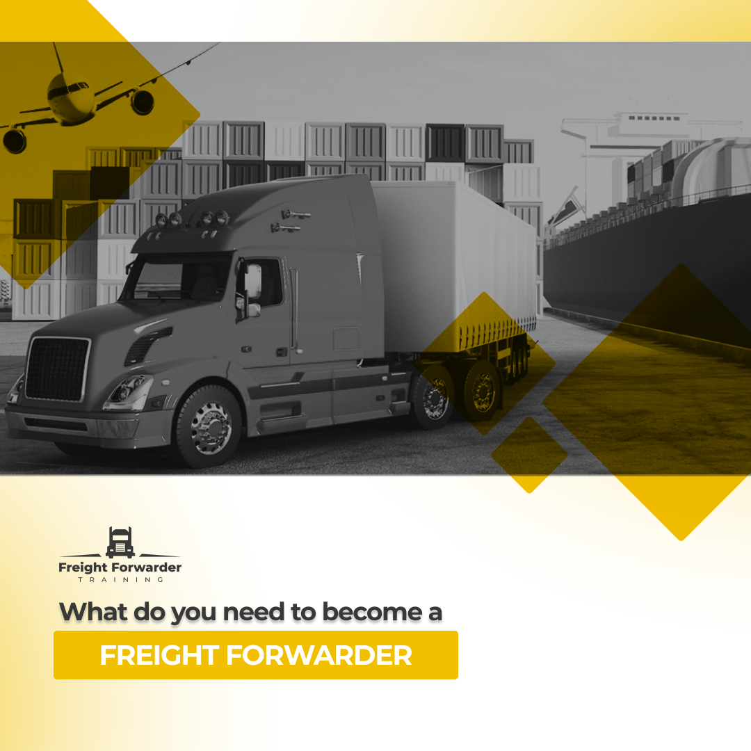 What do you need to become a freight forwarder_